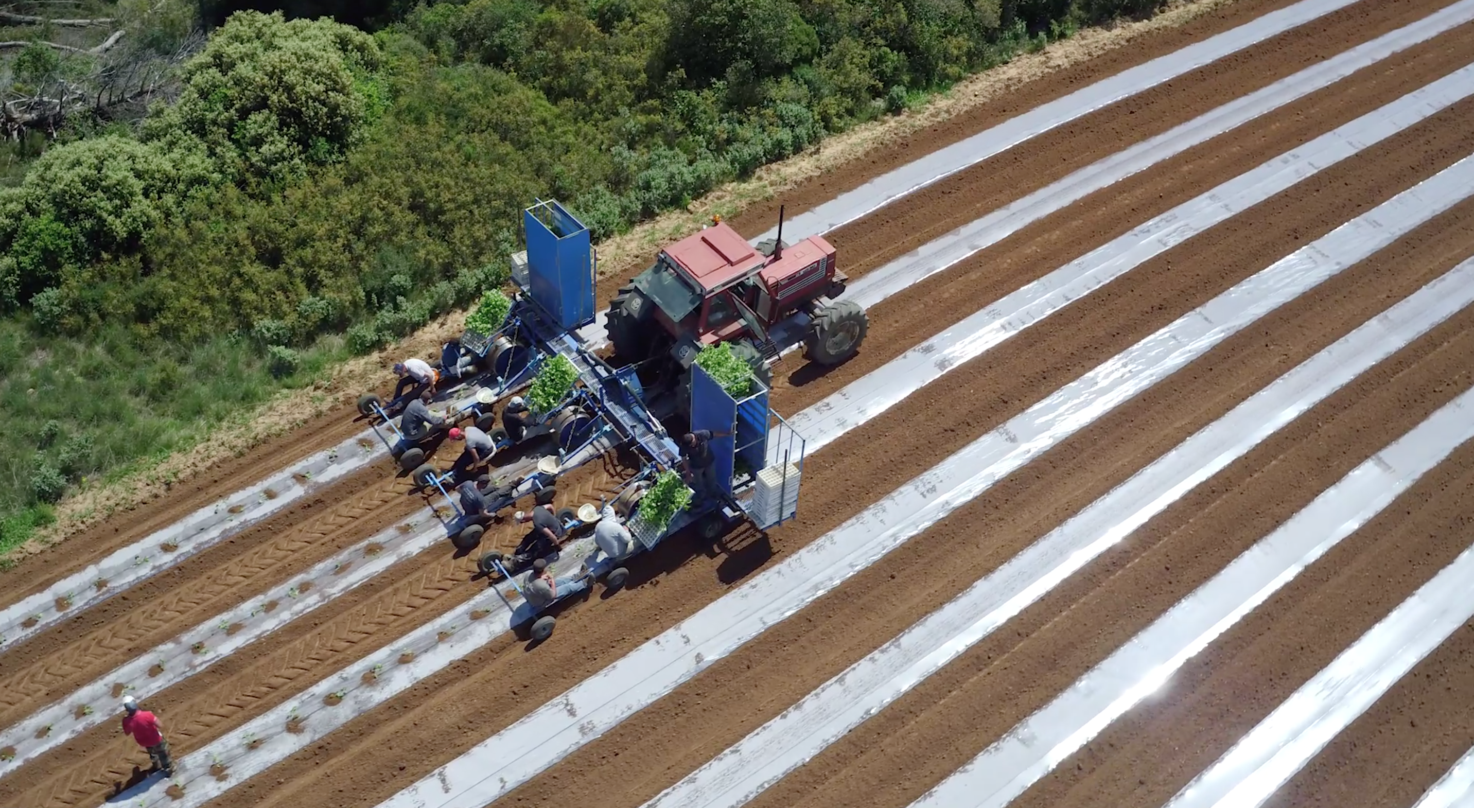 tracteur sillons