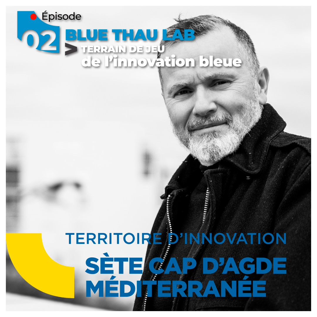 bluethaulab vignette